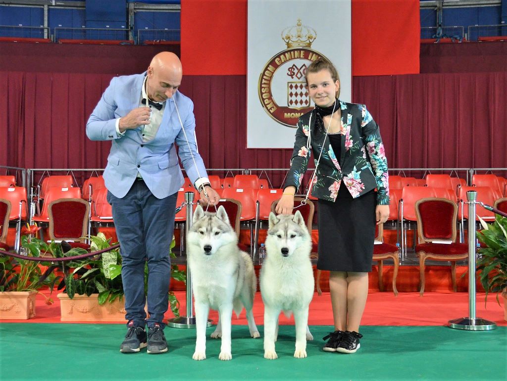 Bloodsnow - Monaco dog show