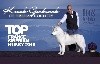 - TOP SIBERIAN HUSKY FRANCE 2018 (By Dogs Revelation)