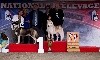  - National d'élevage 2017 Dolly BEST IN SHOW !!!